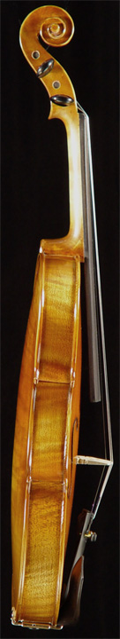 Satori Violin VN101 